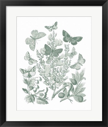 Framed Butterfly Bouquet II Sage Print