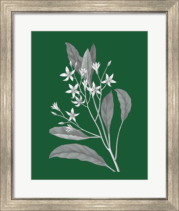 Framed Green Botanical V Print