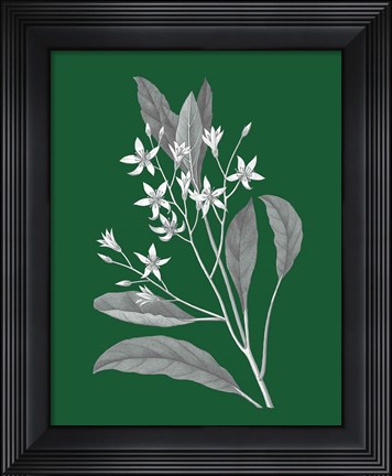Framed Green Botanical V Print