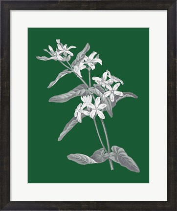 Framed Green Botanical IV Print