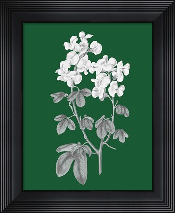 Framed Green Botanical III Print