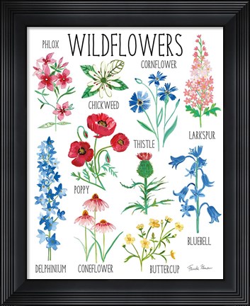 Framed Nature Chart I Print