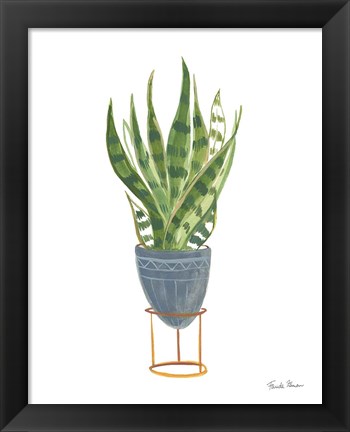 Framed Green House Plants IV Print