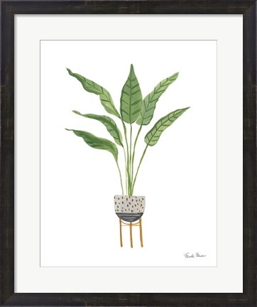Framed Green House Plants III Print