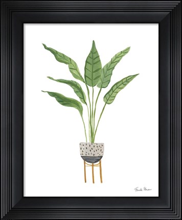 Framed Green House Plants III Print