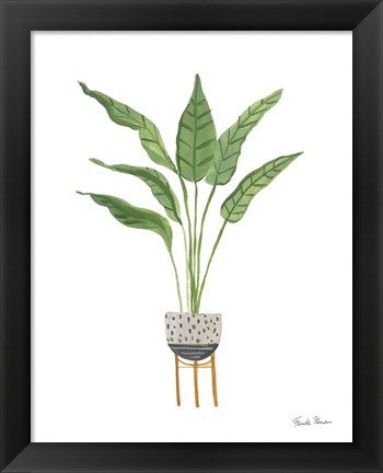 Framed Green House Plants III Print