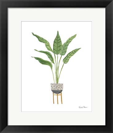 Framed Green House Plants III Print