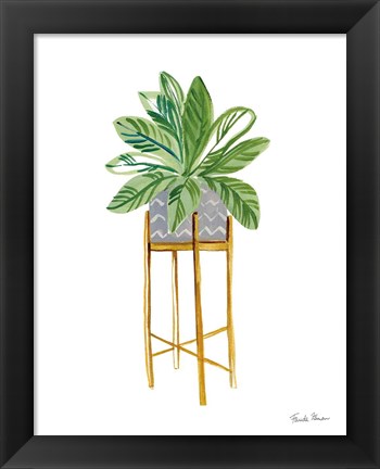 Framed Green House Plants I Print