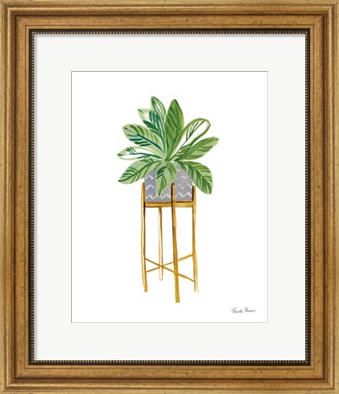 Framed Green House Plants I Print