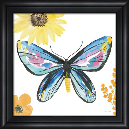 Framed Beautiful Butterfly III Blue No Words Print