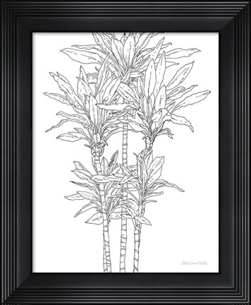 Framed Sketched Tree II Print