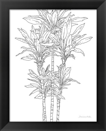 Framed Sketched Tree II Print