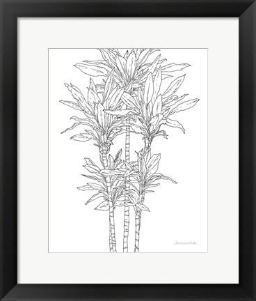 Framed Sketched Tree II Print