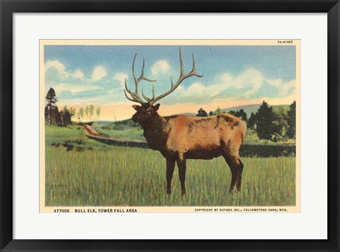 Framed Elk I Crop Print