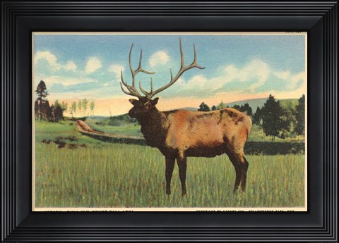 Framed Elk I Crop Print