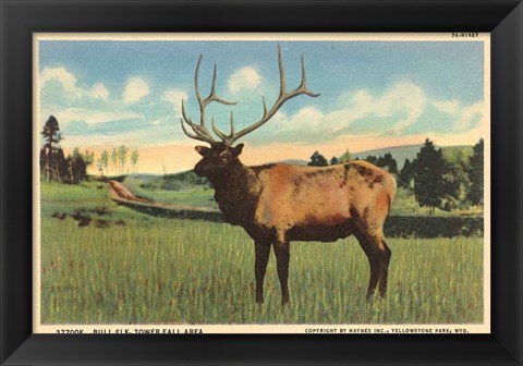 Framed Elk I Crop Print