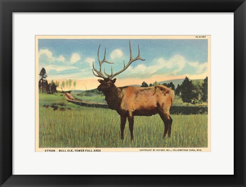 Framed Elk I Crop Print