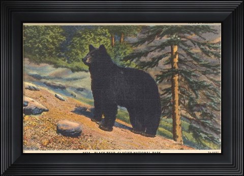 Framed Black Bear I Crop Print