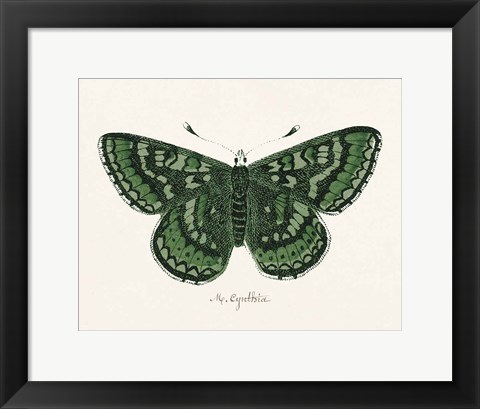 Framed Antique Butterfly I Print