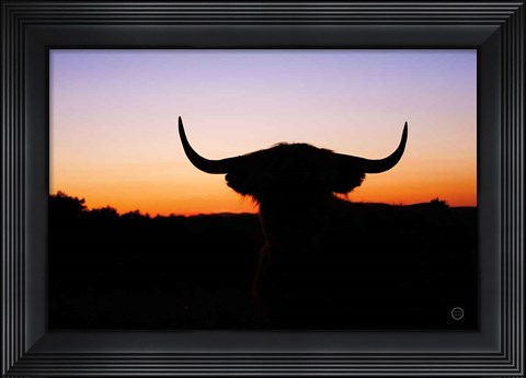 Framed Bull Set Print