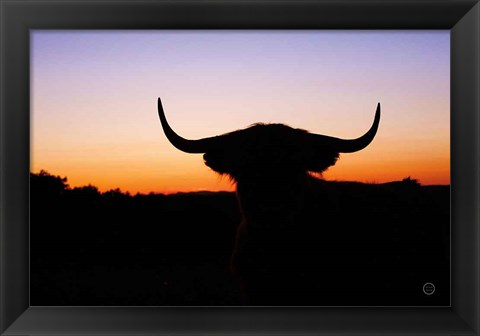 Framed Bull Set Print