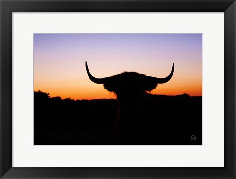 Framed Bull Set Print