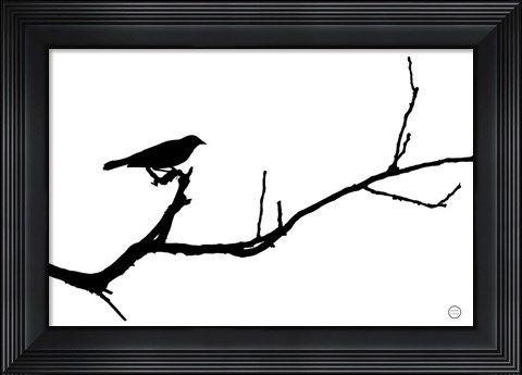 Framed Bird Silhouette Print
