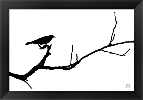 Framed Bird Silhouette Print