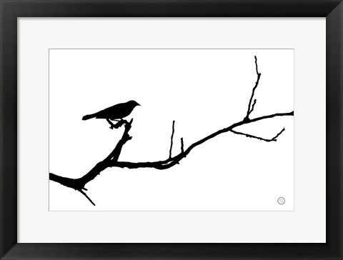 Framed Bird Silhouette Print