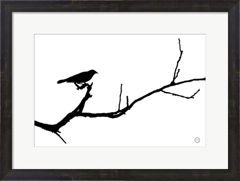 Framed Bird Silhouette Print