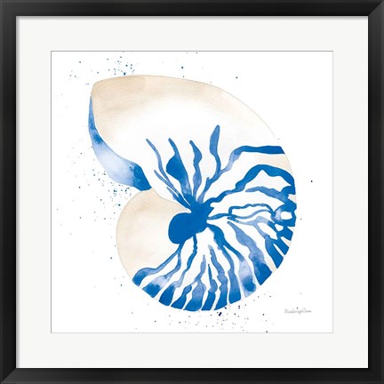 Framed Nautilus Sq Print