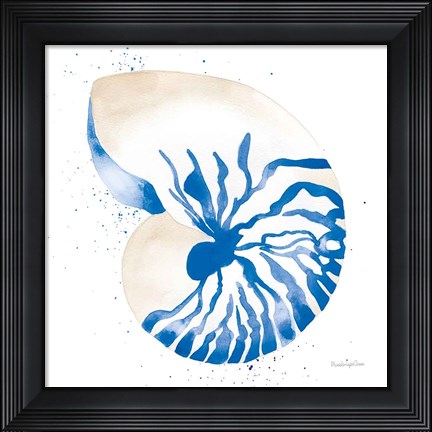 Framed Nautilus Sq Print