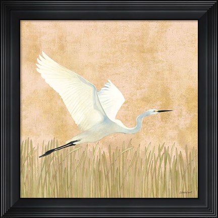 Framed Egret Alighting II Print