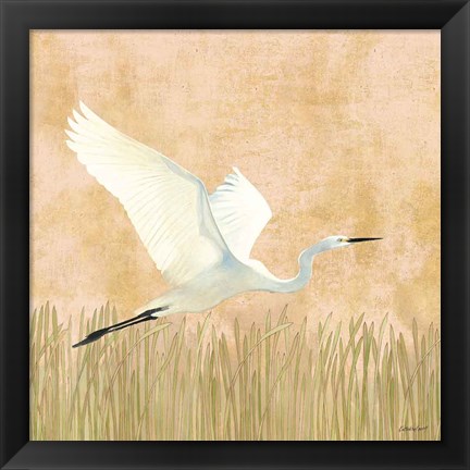 Framed Egret Alighting II Print