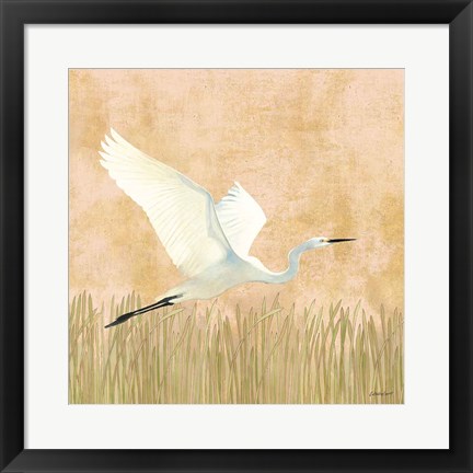 Framed Egret Alighting II Print