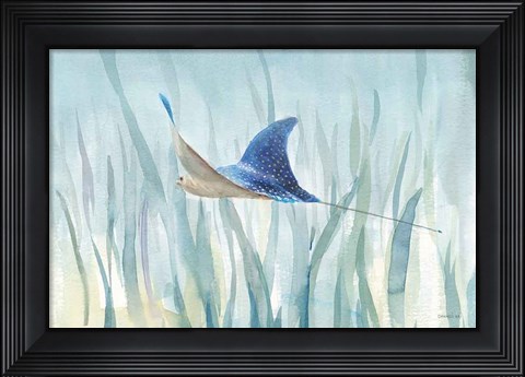 Framed Undersea Ray Print