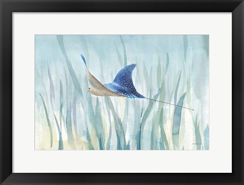 Framed Undersea Ray Print