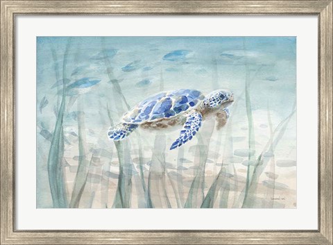 Framed Undersea Turtle Print