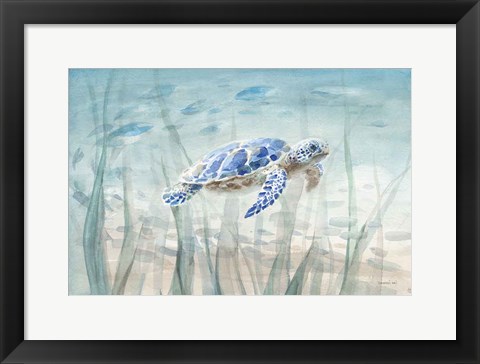 Framed Undersea Turtle Print