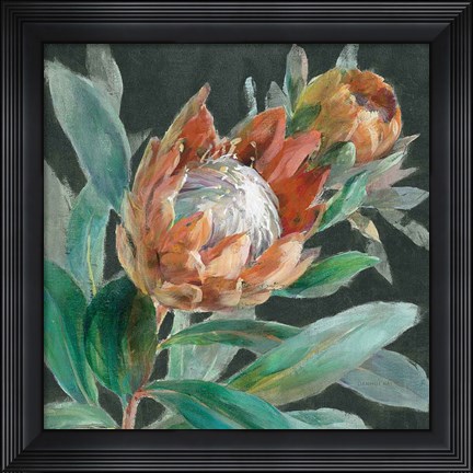 Framed Deep Tropical Protea Crop Print