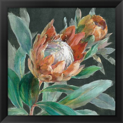 Framed Deep Tropical Protea Crop Print