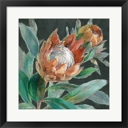 Framed Deep Tropical Protea Crop Print