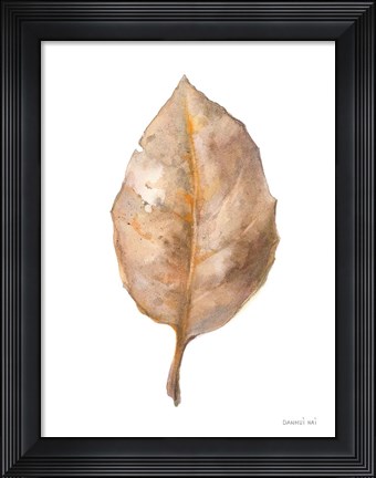 Framed Fallen Leaf II Print