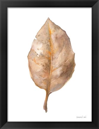 Framed Fallen Leaf II Print