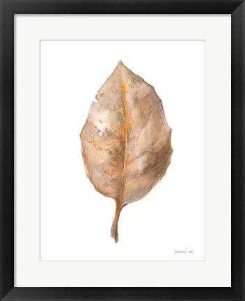 Framed Fallen Leaf II Print