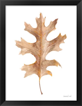 Framed Fallen Leaf I Print