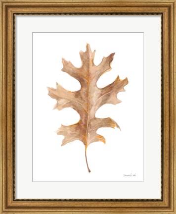 Framed Fallen Leaf I Print