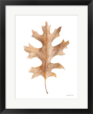 Framed Fallen Leaf I Print