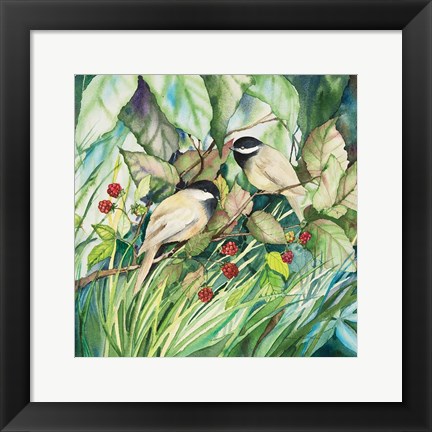 Framed Chickadees Sq Print