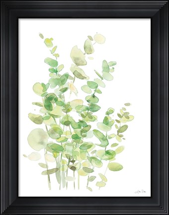 Framed Eucalyptus III Print
